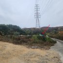 분당-335 이미지