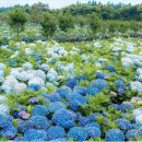 채운목장 이미지