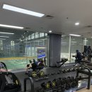 테크노 | 수원월드컵경기장 헬스장 추천! 스포츠아일랜드 헬스장 후기 (테크노짐 기구 맛집)