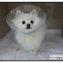 미드미동물병원 이미지