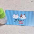 세진동물병원 네이버블로그