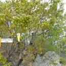 동천교 남쪽 이미지