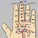 고려수지침 혈자리 위치 이미지