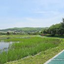 신정호수공원 생태학습관 이미지