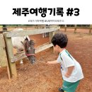 스테이슬로우힐 네이버블로그