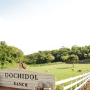 이상목장 이미지