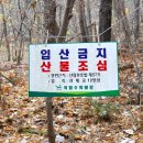 무지랭이 이미지