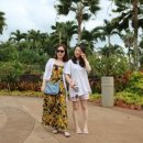 두환농장 이미지