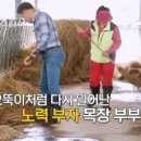 아버지목장 이미지