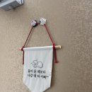 다모아모텔 | 강릉 애견동반숙소 다모아하우스에 머물렀어요 [강릉 에어비앤비]