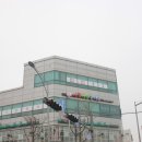사랑나무한의원 네이버블로그