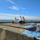 제주 사람발자국과 동물발자국 화석산지 이미지