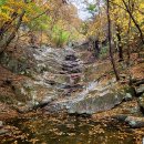 영산대학~천성샘~집북재~성불암 ~상리천~영산대학 23.11.5 이미지