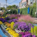 내린천자원 이미지