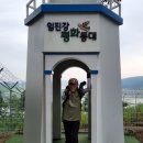 반구정습지 이미지