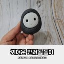 초등학생 선물 추천 아이들이 푹 빠진 귀여운 반려돌 몽이돌이 후기