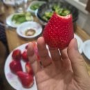 [일상] 2026.04