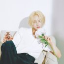 보이는 족족 이미지