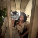 초이앤권