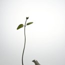 아라커피 이미지