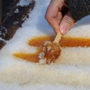 달콤한 나무 이미지