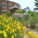 무장초등길 이미지