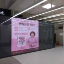 증산정보도서관 | 문해력은 생존력 :: 송파 도서관, 구립증산 정보 도서관