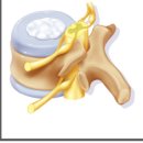 반여넘버원마취통증의학과의원 이미지