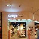 신세계 애견미용샵 이미지