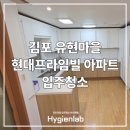 현대미학과 글쓰기 | 김포 입주청소, 유현마을 현대프라임빌 대형 평수 후기
