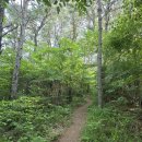 매암산 등산로 이미지