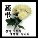 완월동201 이미지