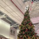 트리메이트 이미지