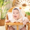 아이라임스튜디오 이미지
