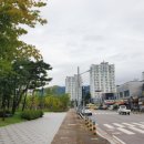 인삼로 이미지