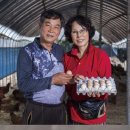 꼬꼬농장 이미지