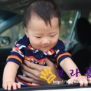 세주농장 이미지