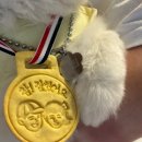 까까뭐멍냥 | 강아지 수제간식 까까뭐멍냥 우리집 강아지 칭찬 간식 저알르레기 간식 최고!