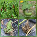 해원농장 이미지