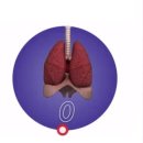 숨 잘 참는 사람 폐가 건강하다… [이거레알?] 이미지