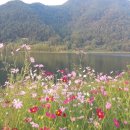 은광농장 이미지