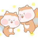 컴메디컬 이미지