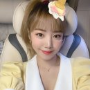 핑크손(PINK SON)