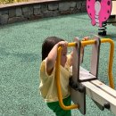 유일자동차 | 마조렛 애니버서리 퍼스트 에버 카 미니카 60주년 기념 다이캐스트 자동차 장난감 조카선물 후기