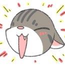 고운동물병원 이미지