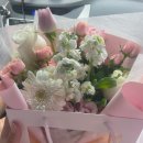 꽃보다 타이어 세종 조치원점 | [언제나꽃] 세종시 조치원 꽃다발 선물 꽃집 추천 / 고양이에게 괜찮은 꽃 / 내돈내산 후기