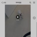 뚜뚜멍멍 이미지