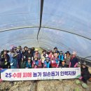 서부여농업협동조합 이미지