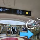 잠실 애슐리퀸즈 평일 런치 예약 오픈런 웨이팅 5월 메뉴 주차