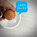 청미래마트 | [친환경계란]청미래농장,자연방사 사육환경1번 달걀이에요